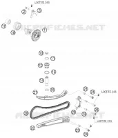 DISTRIBUCION
