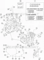 CARTERES CIGÜEÑAL
