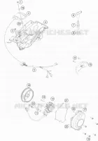 ALTA