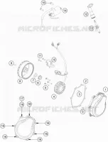 ALTA