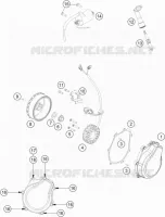 ALTA