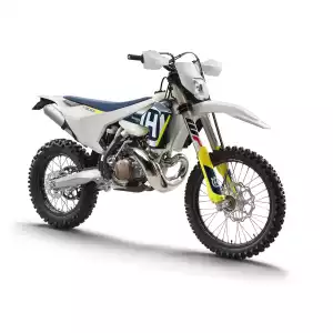 TE 300I