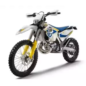 TE 250