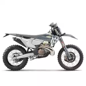 TE 300 PRO