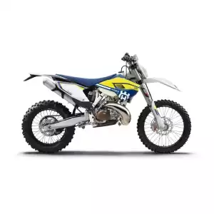 TE 250