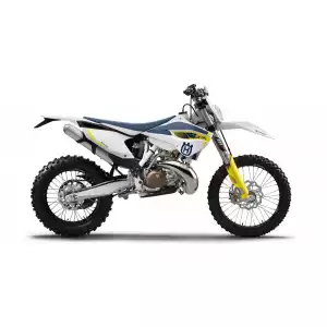 TE 250